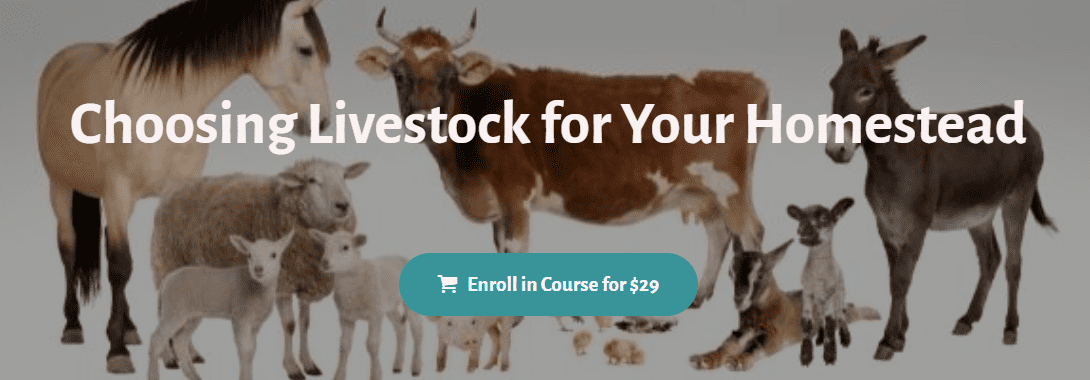 Deborah Niemann - Choosing Livestock for Your Homestead