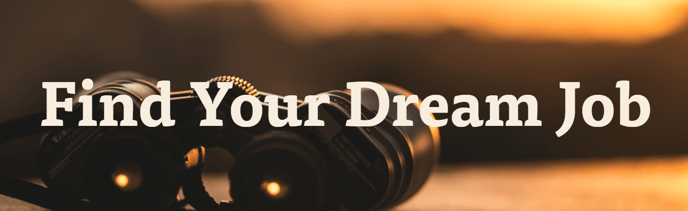 Ramit Sethi - Find Your Dream Job 2021