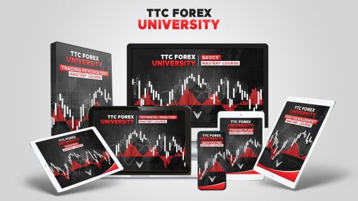 Steven - TTC Forex University